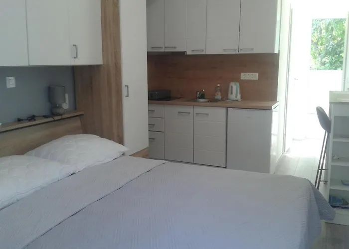 Studio Antonio New