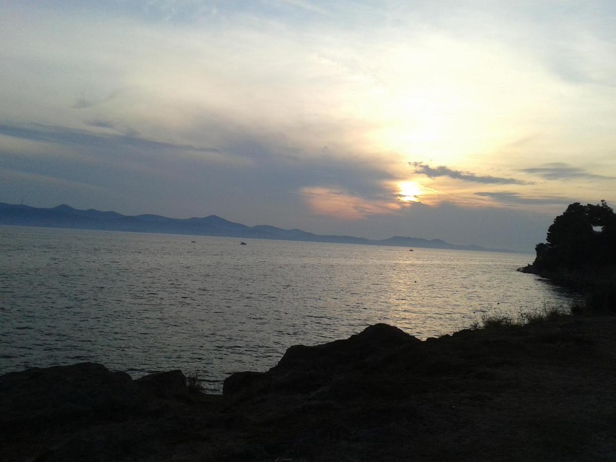 Antonio New Apartman Zadar